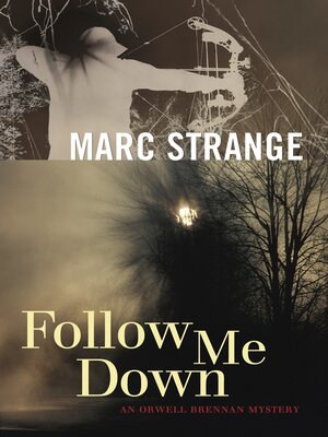 cover image of Follow Me Down